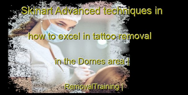 Skinart Advanced techniques in how to excel in tattoo removal in the Dornes area | RemovalTraining | RemovalClasses | SkinartTraining-France